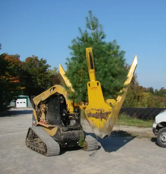 Treespade